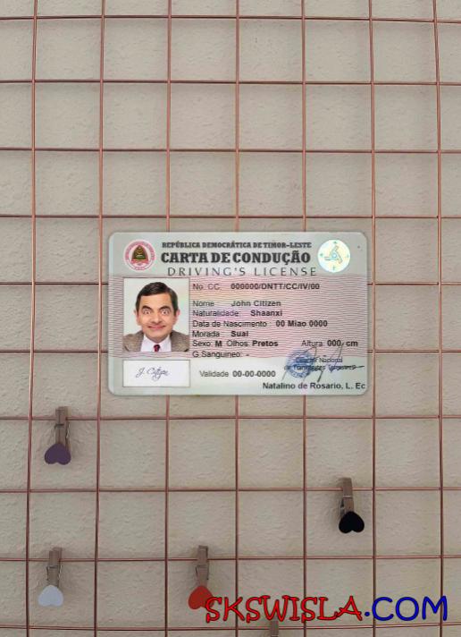 Albania Albanian Power Corporation